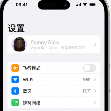 钦北appleID维修服务iPhone设置中Apple ID显示为灰色无法使用 