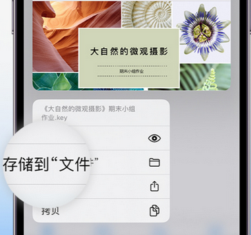 钦北apple维修中心分享iPhone文件应用中存储和找到下载文件