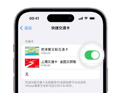 钦北apple维修点分享iPhone上更换Apple Pay快捷交通卡手绘卡面 