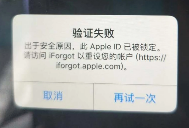 钦北iPhone维修分享iPhone上正常登录或使用AppleID怎么办 