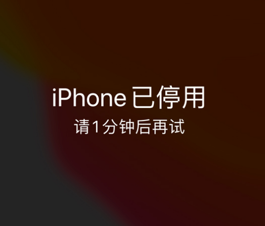 钦北苹果手机维修分享:iPhone 显示“不可用”或“已停用”怎么办？还能保留数据吗？ 