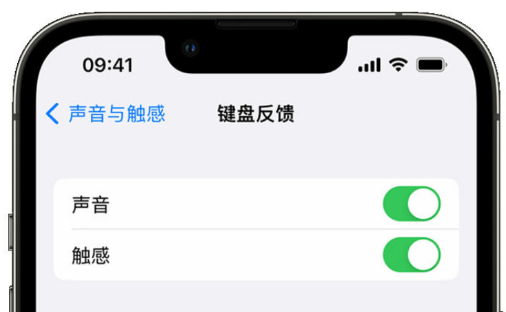 钦北苹果手机维修分享iPhone 14触感键盘使用方法 