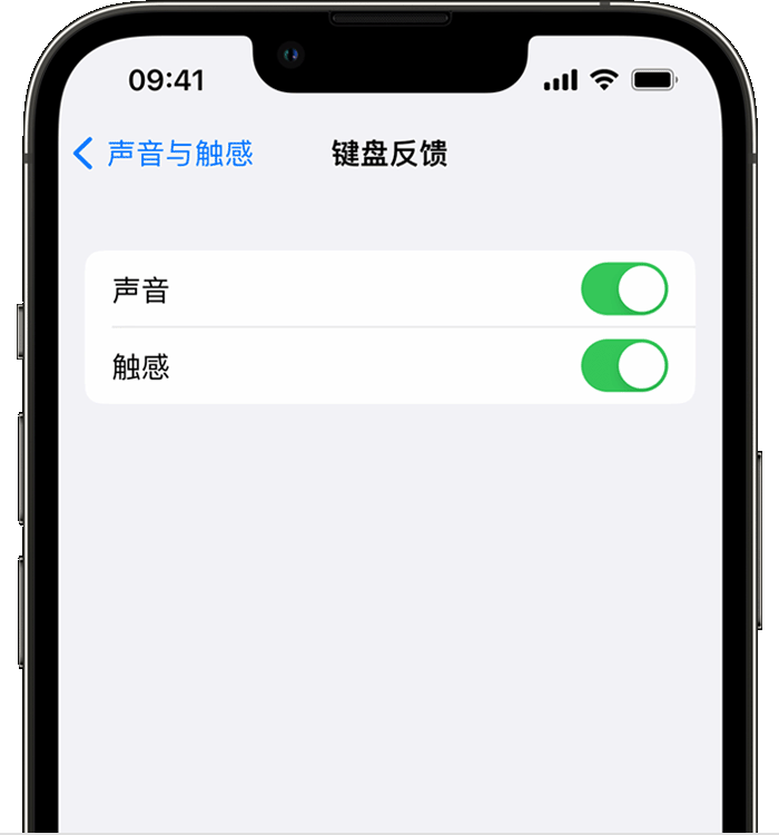 钦北苹果14维修店分享如何在 iPhone 14 机型中使用触感键盘 