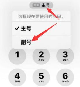 钦北苹果14维修店分享iPhone 14 Pro Max使用副卡打电话的方法 