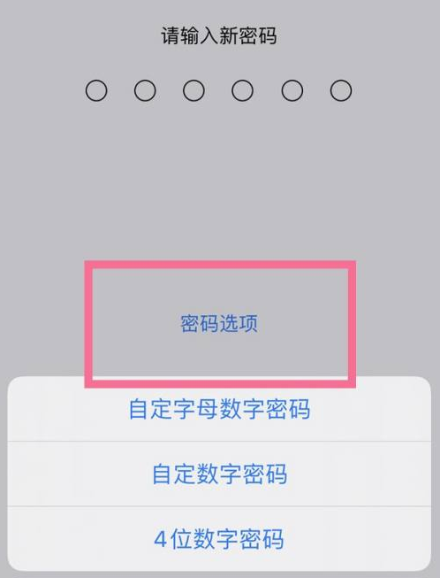 钦北苹果14维修分享iPhone 14plus设置密码的方法 