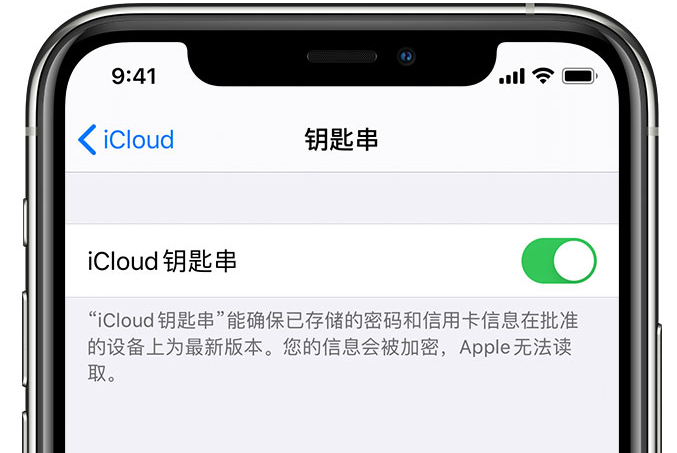 钦北苹果手机维修分享在 iPhone 上开启 iCloud 钥匙串之后会储存哪些信息 