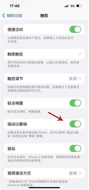 钦北苹果手机维修分享iPhone手机如何设置摇一摇删除文字 